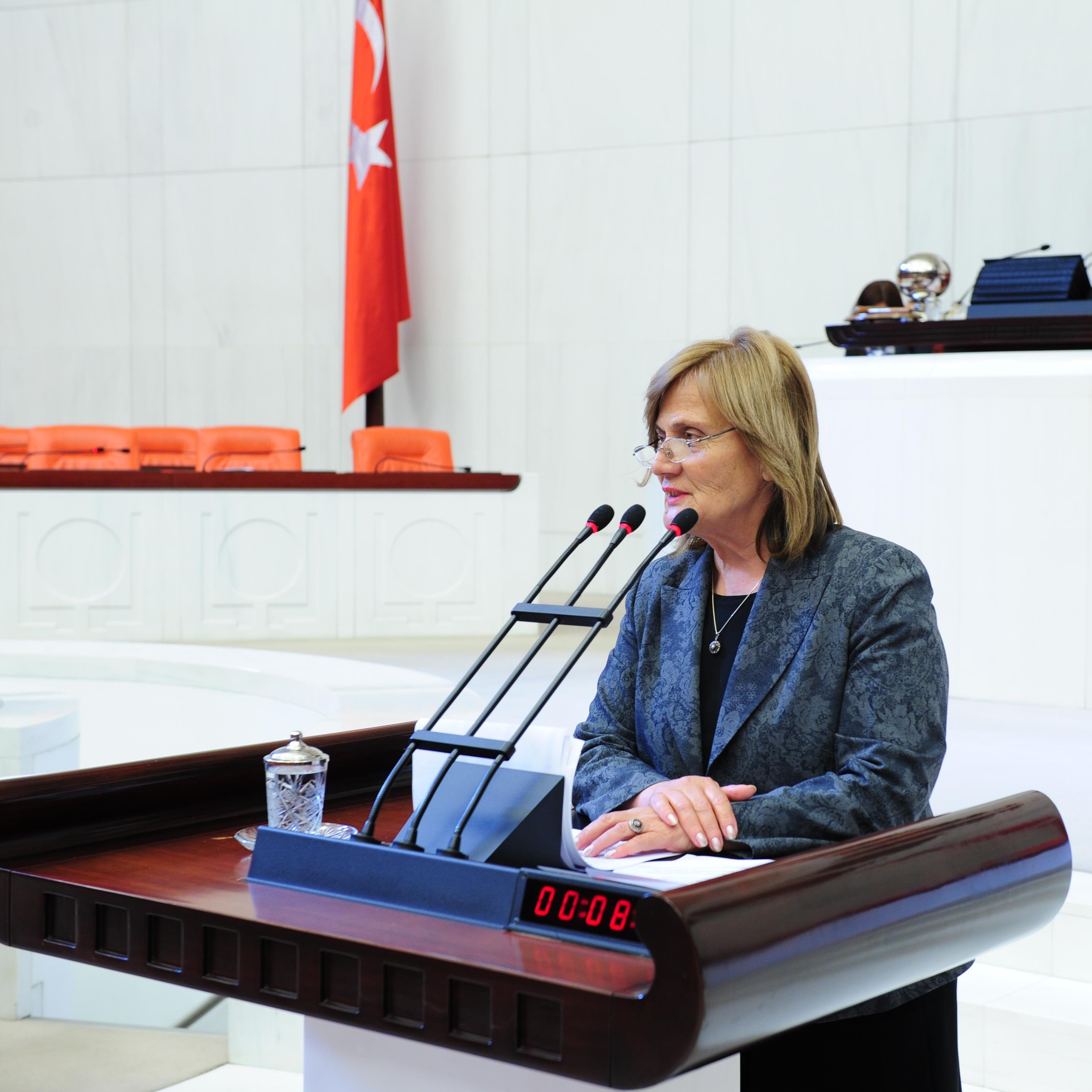 CHP Balıkesir Milletvekili
Avukat