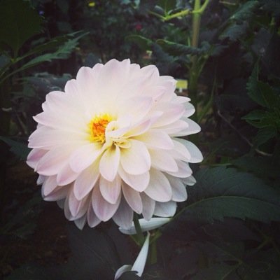 きりたん Queenkasumi2014 Twitter