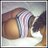 mremboKE's profile image
