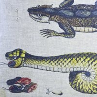 Evolution (@evolution_jhb) 's Twitter Profile