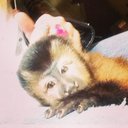 Darwin Denny - @drichdoy10 - Twitter