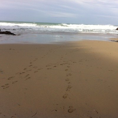 99jobproblems's profile picture. 