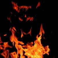La Llama infernal (@zollama) 's Twitter Profile