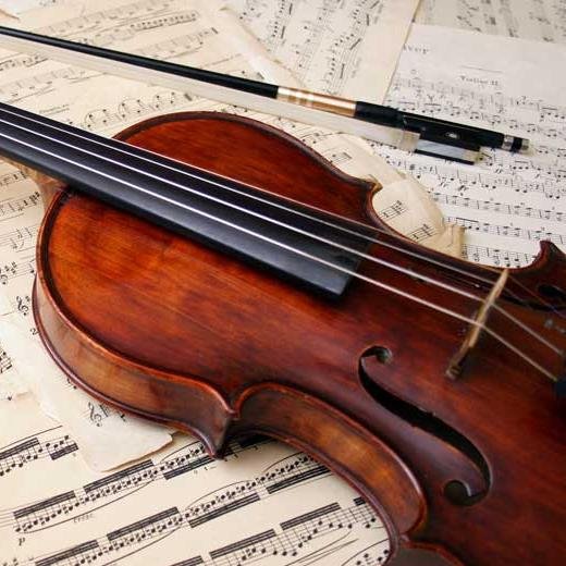 Violinista Titular de la Orquesta Sinfónica Nacional de Costa Rica. Abogado y Notario, Doctor  en Derecho por la Universidad de Valladolid.