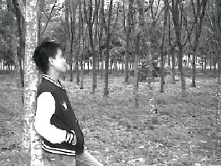 MRezaFadilah's profile picture. Wellcome My Profile.  Pin:5184AAEC