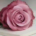 ام محمد (@14Eman14) Twitter