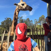 Matt McLean (@mattmclean2) 's Twitter Profile