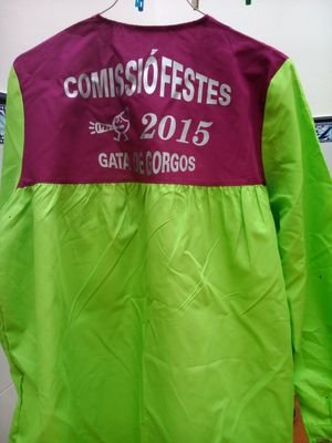 CFestes2015 Profile Picture