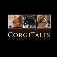 Corgi Tales aka https://t.co/M73YuHFYpk - a photography journal