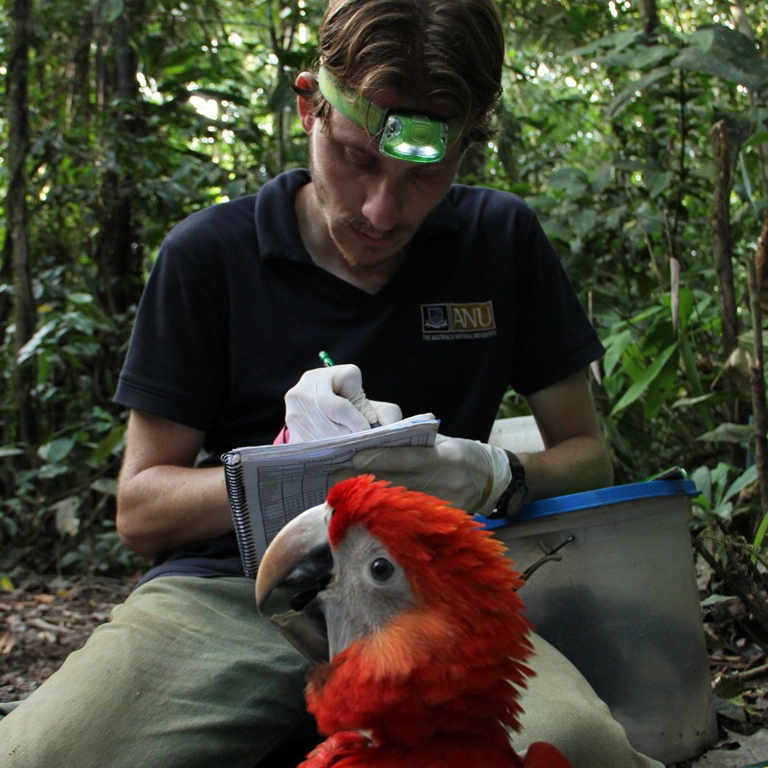 Conservation Geneticist @ANUFennerSchool | Documentary Filmmaker @wildlifemess