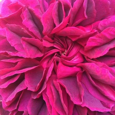 AstfalckJivan's profile picture. 