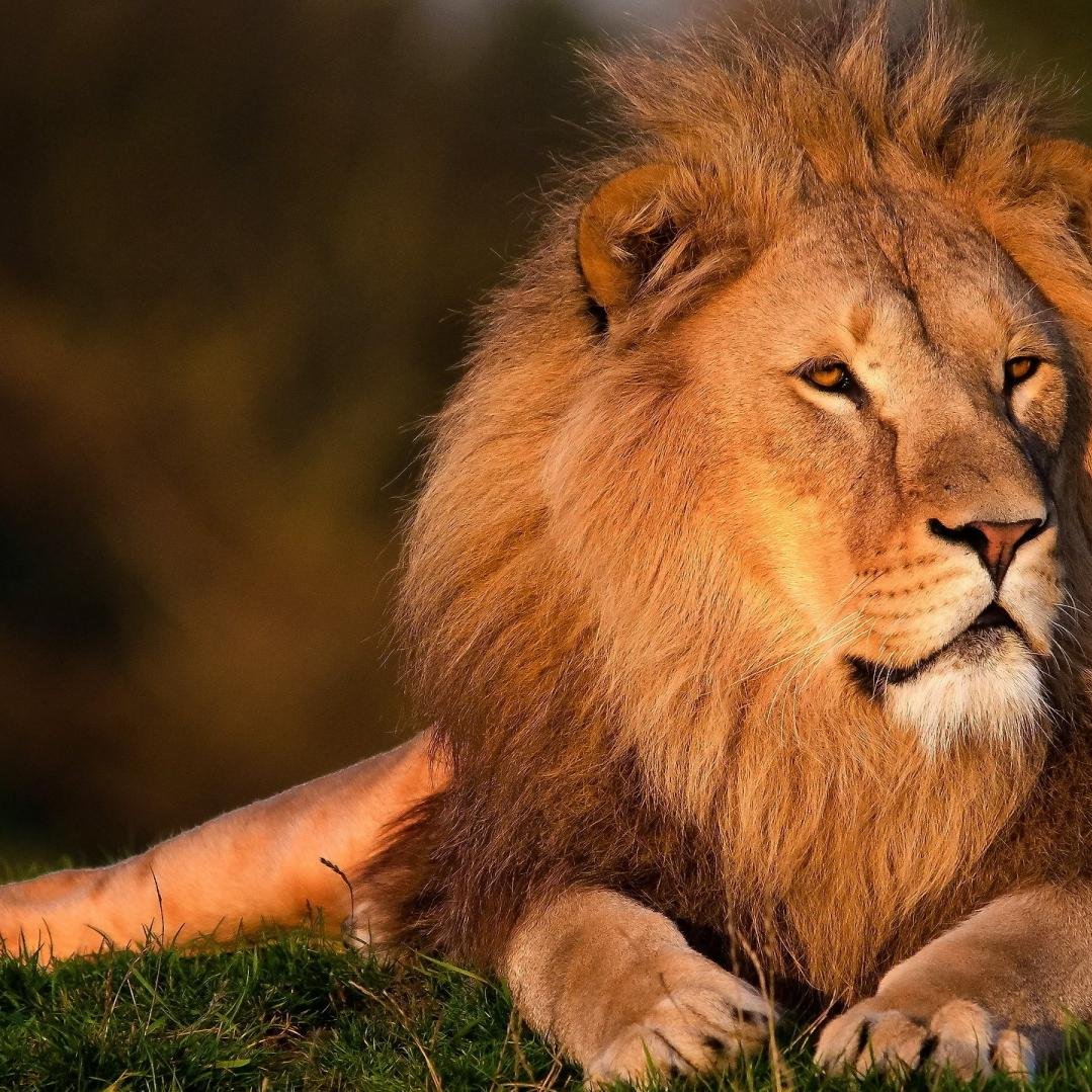 dbakalav's profile picture. Oracle DBA, RAC, ASM, DATA GUARD, RMAN, EXADATA.