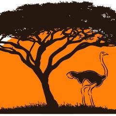 Original #Kenya Tours & #Safaris is your ultimate #travel management company operating #wildlife tours and #safari itineraries in #MagicalKenya.
