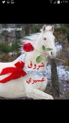 ‏‏‏‏‏‏‏‏‏‏‏‏‏‏‏‏‏شعر واحد زاد فيني الأمل  &&  الأماني في رجا الله  ماتخيب ***  اكتب  هنا مايروق لي و يتماشى مع  ديني..**