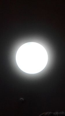 裏垢。SLE発症から25年。メニメール病も2年前から発症。脱免疫抑制剤で漢方と食事で治療中だけど無理ないように程々でやってます。オカルト好きで情報収集用なのでほとんど呟きません。無言フォロー失礼します