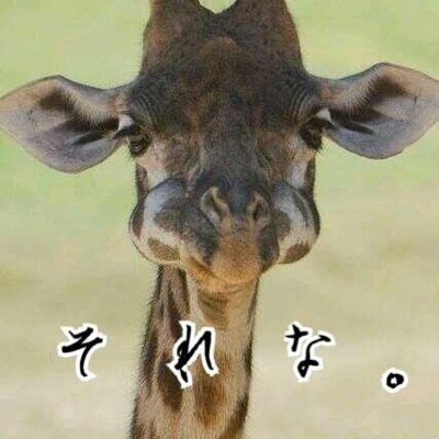 たくまの元カレです