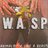 wasp66