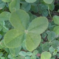 판사는 악마다 (@har1468) 's Twitter Profile