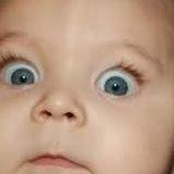 VerbaasMe's profile picture. de mens in het algemeen en zijn gedrag in het bijzonder