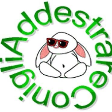Addestr_Conigli's profile picture. Operatrice in Animal Touch, Etologa Relazionale, Clicker Coach for bunnies, Educatrice Conigli da Compagnia, Mobility per Conigli, pensione per conigli