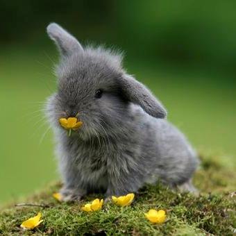 Thai_Only's profile picture. happy