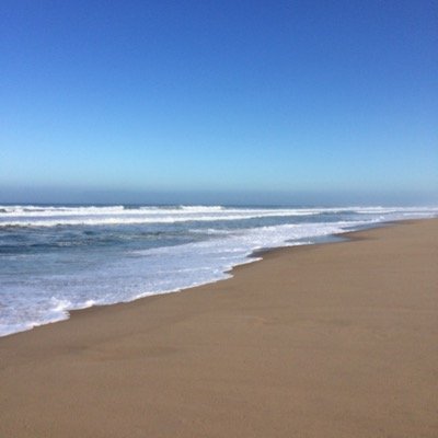 DixonTeasdale's profile picture. Citizen of the world. European.