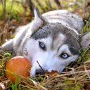 Willow Ross - @XxXJaiOoO1 - Twitter