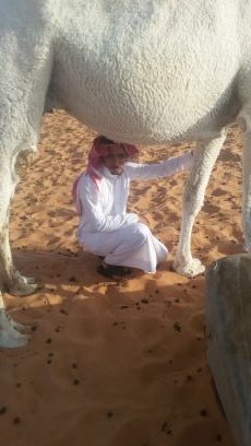 ‏‏
تغفر ذنوبي يوم صكات البواب


وتهديني الدرب الهدى والعدالي
