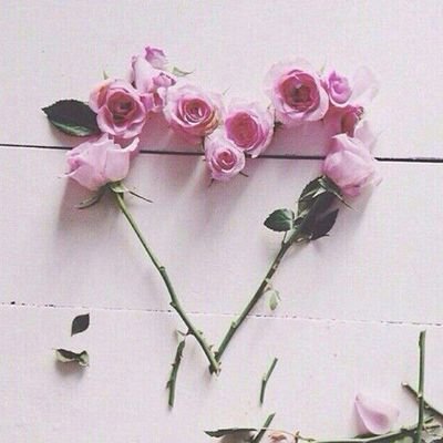 za44556's profile picture. 