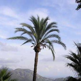 Hi to everyone from Cabo Roig in Spain.
