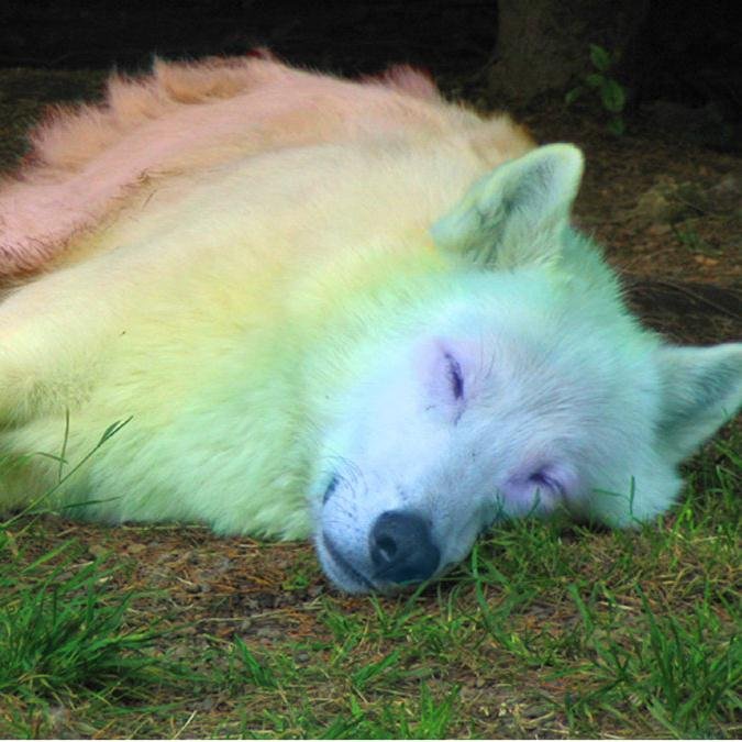 VikaAlfa's profile picture. 