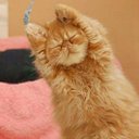 ○○きんぐ (@0135Emk) Twitter