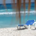 Cindi Young - @CindiYoung5 - Twitter