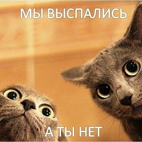 #ВЗАИМНЫЙФОЛЛОВИНГ #follow #followback #rufollow #rufollowme #rufollowback #ВЗАИМНОЧИТАЮ #ответныйфолловинг #читаю