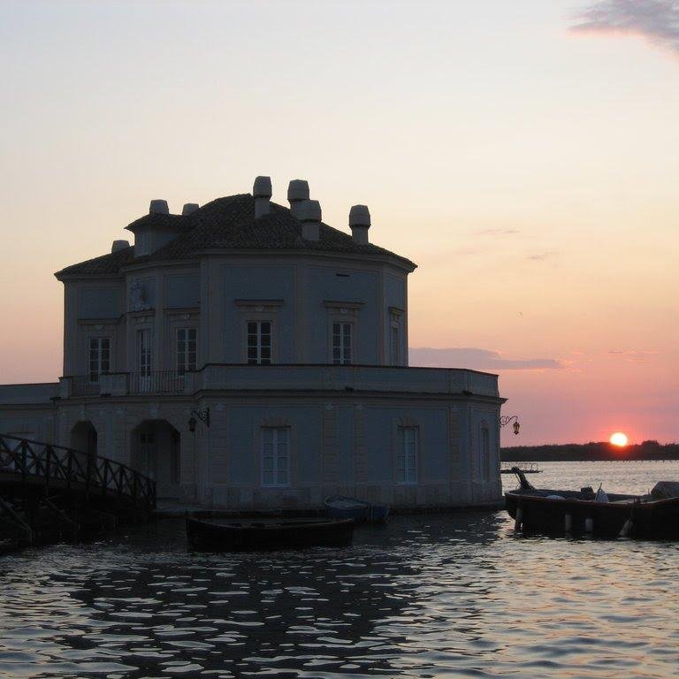 FusaroREale's profile picture. 