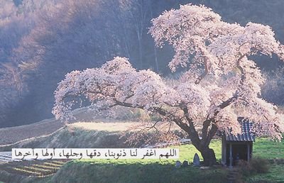 تابعتني ؟ باسوي رتويت لتغريداتك الدينيه .