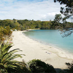 Waiheke_NZ's profile picture. The OFFICIAL twitter page for Waiheke Island.