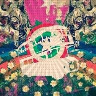 subtesybondis's profile picture. 