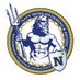 Navy Men's Swimming and Diving (@NavyMSwim) Twitter profile photo