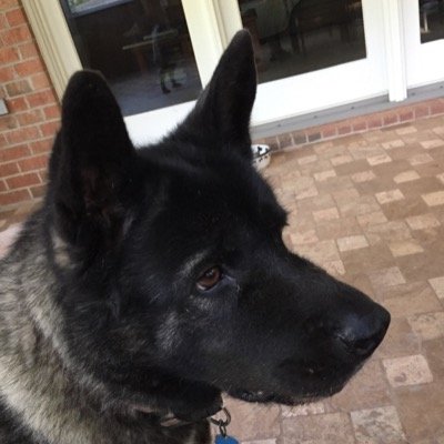 mom878893's profile picture. 