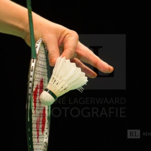 Bachelor Pedagogische Wetenschappen | Topsportster badminton, Brons op EK in damesdubbel | Gesponsord door: yonex, cba & bees-sport
