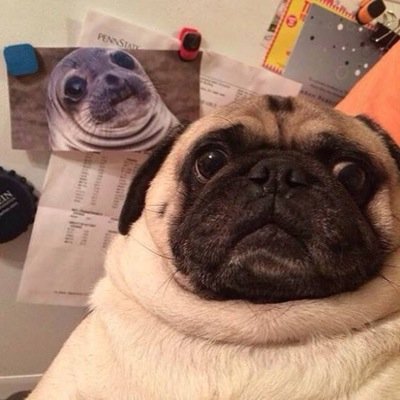 KamilleFuentes's profile picture. Child of God :D