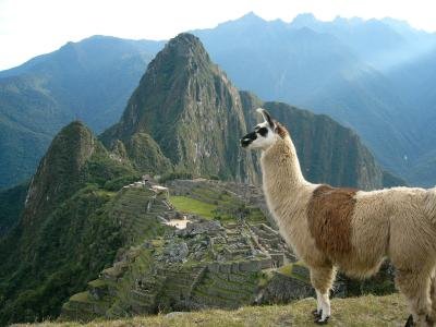 seint9hunthe's profile picture. 初めてでよくわかりませんが、☆よろしくおねがいします。