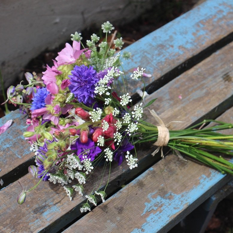 Ecologist & entomologist by day cut flower grower by weekend