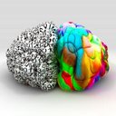 Adrian Work - @TrainerAde - Twitter