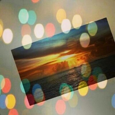 d787e2cd9c0d479's profile picture. 