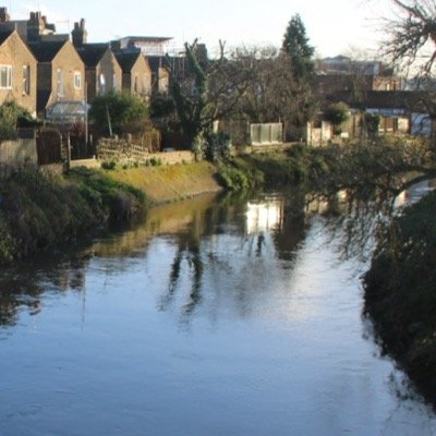 WandleWatcher's profile picture. Wandsworth resident watching out for the human & more than human World in Wandsworth and beyond