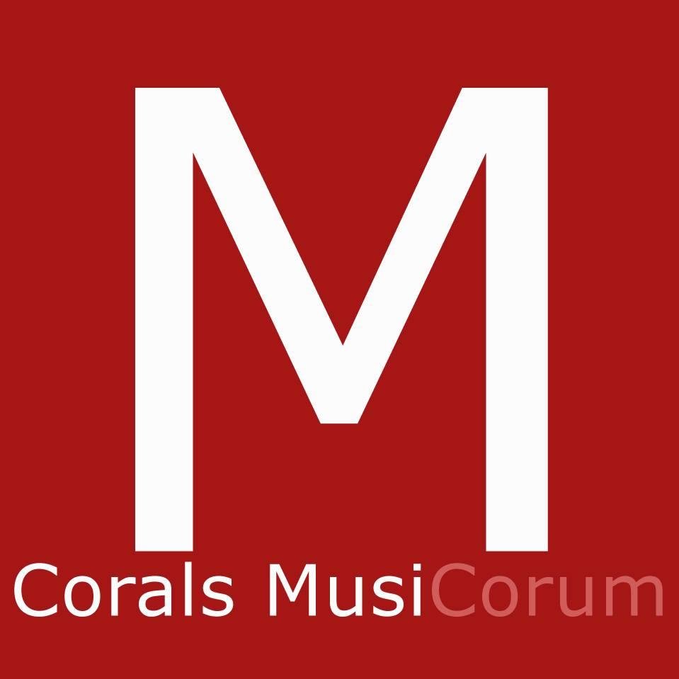 Twitter oficial de les formacions Musicorum: Musicorum, SOM·night i el Cor de la Nit https://t.co/XRVRcj9VK7
https://t.co/dSofBqNFY9…