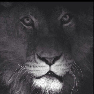 thewaytothet0p's profile picture. All men are created equal....some just work harder