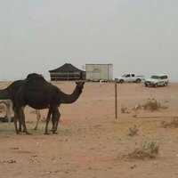 ابن عفتان (@mady2100) 's Twitter Profile
